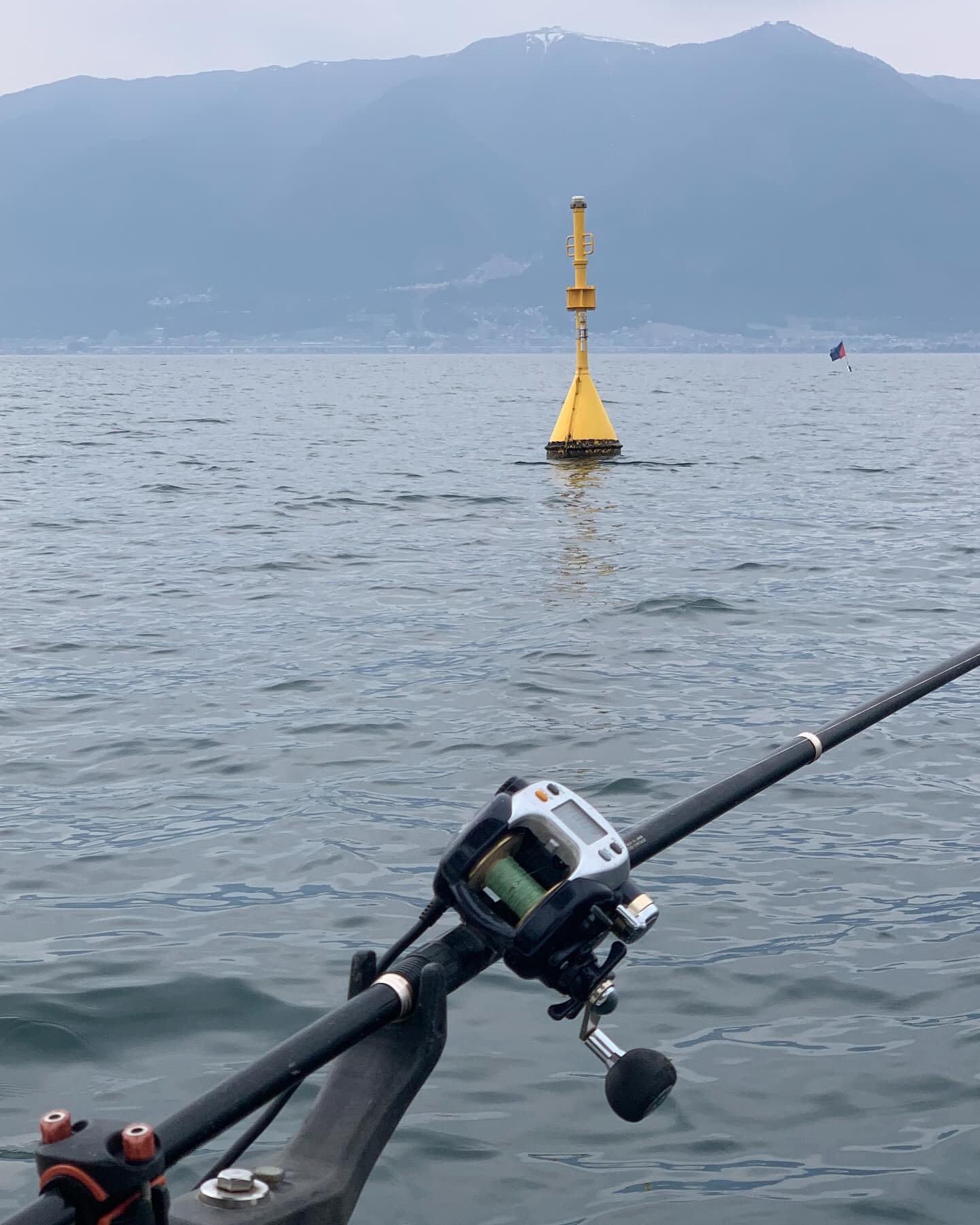 今日のビワマス