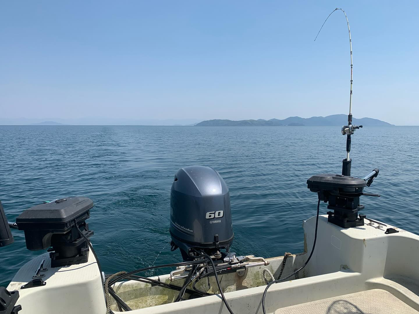 今日のビワマス