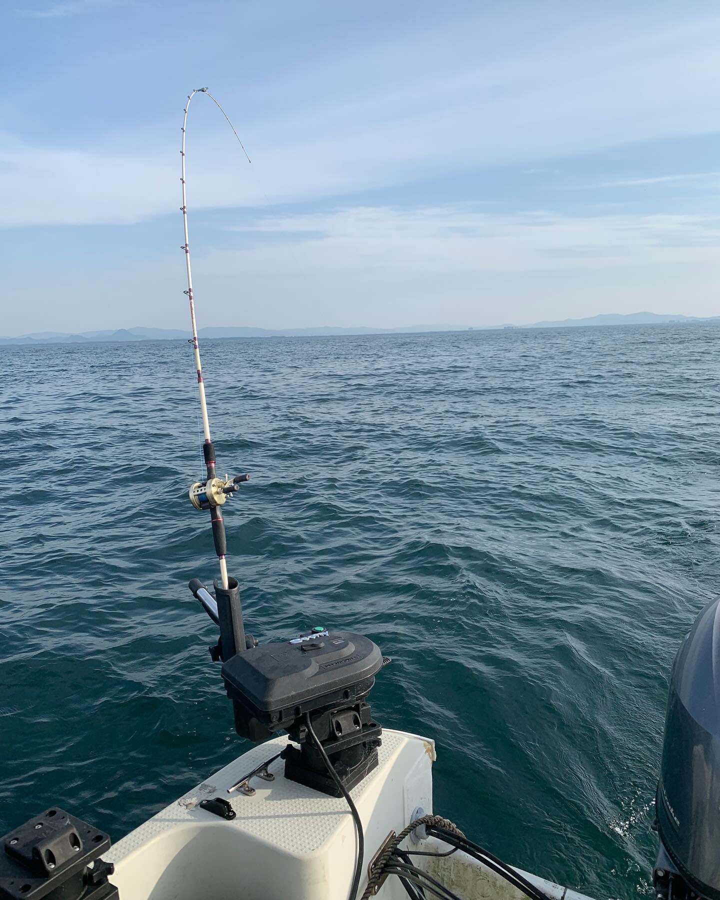 今日のビワマス