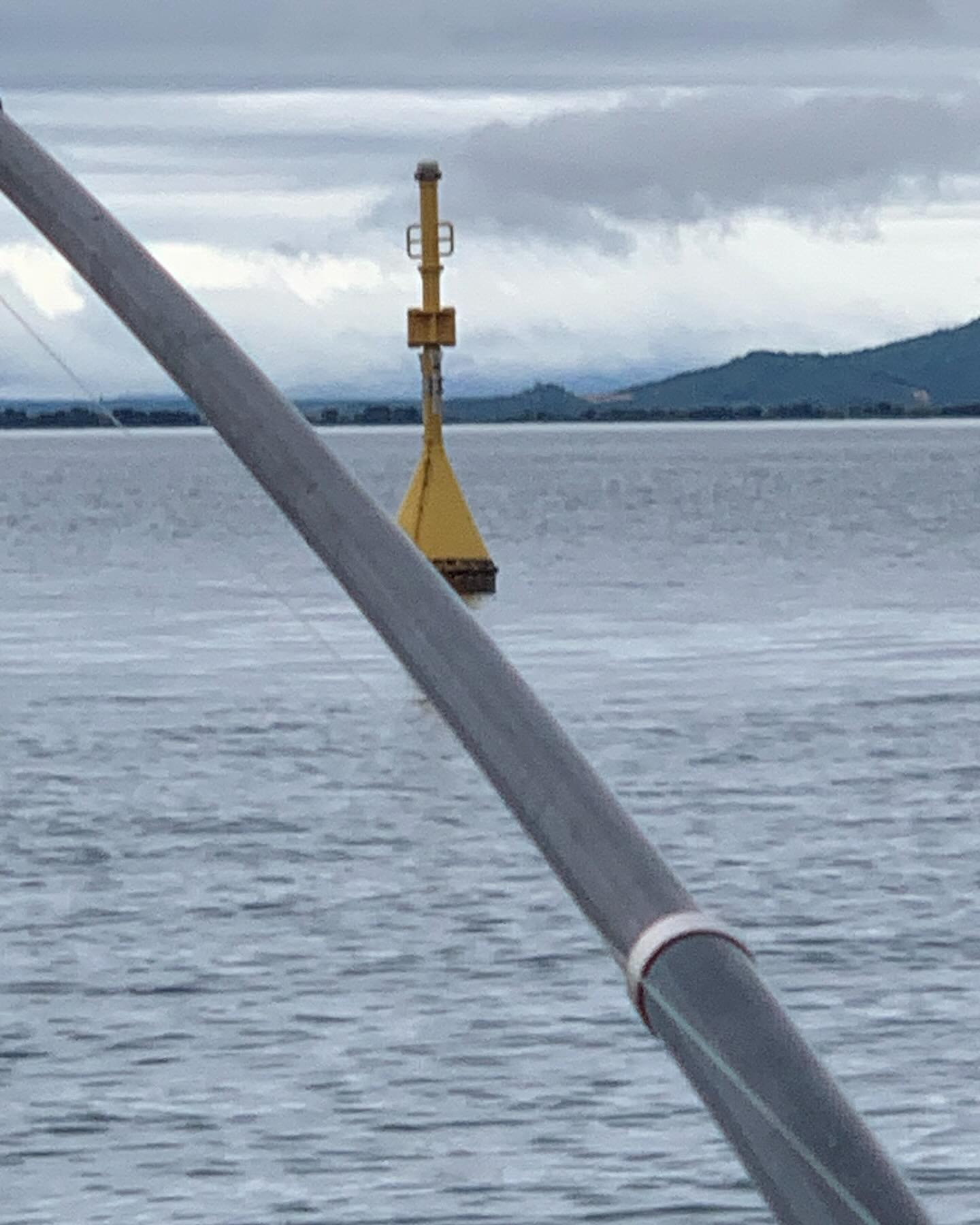 今日のビワマス