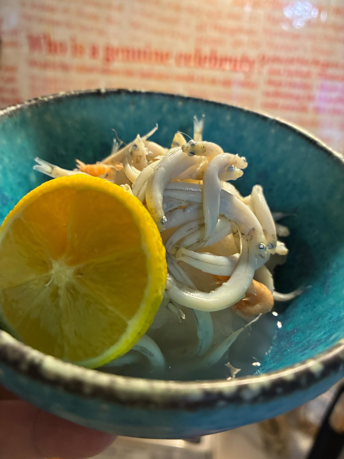 エリ漁解禁後2日目