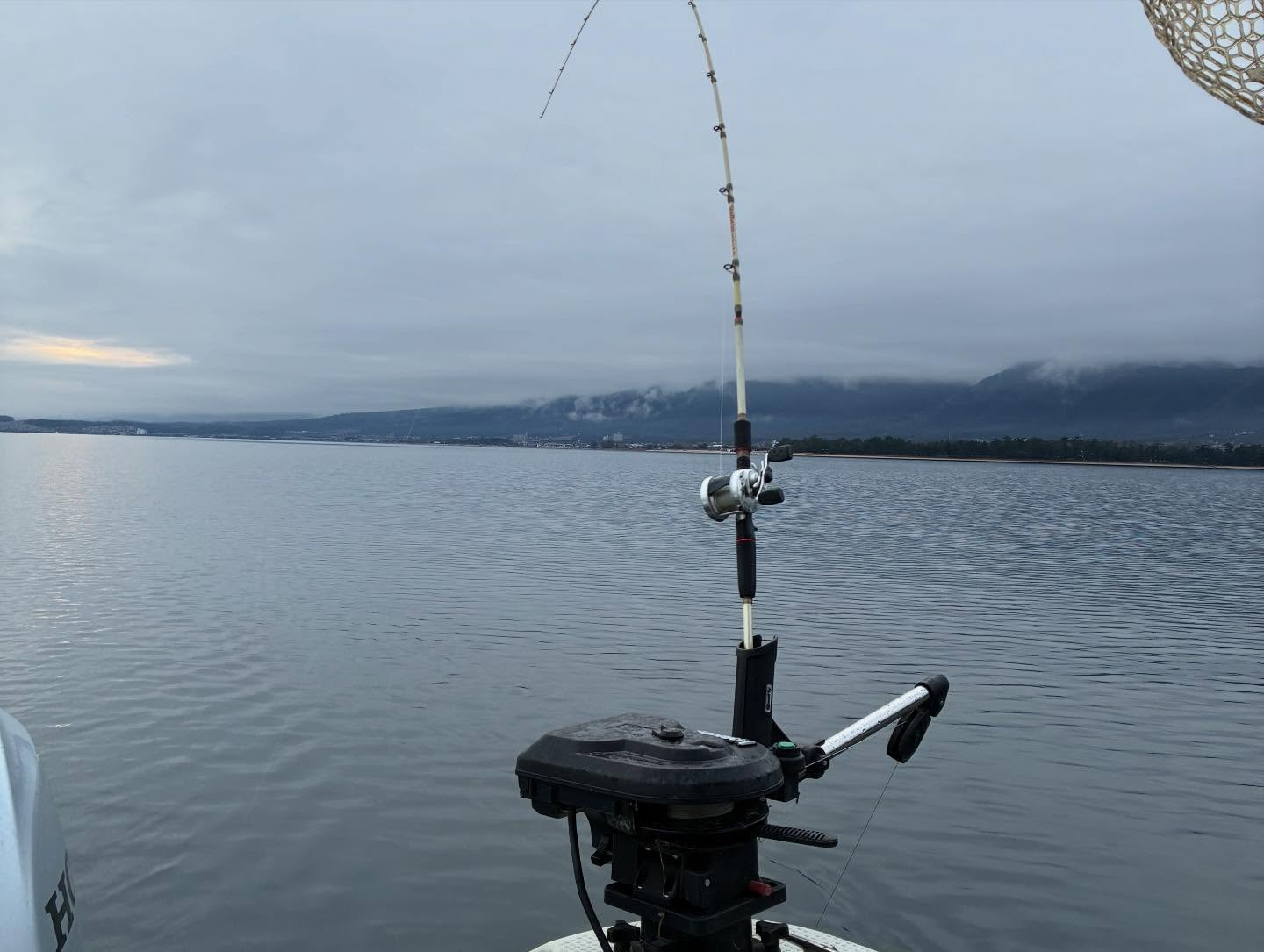 今日のビワマス