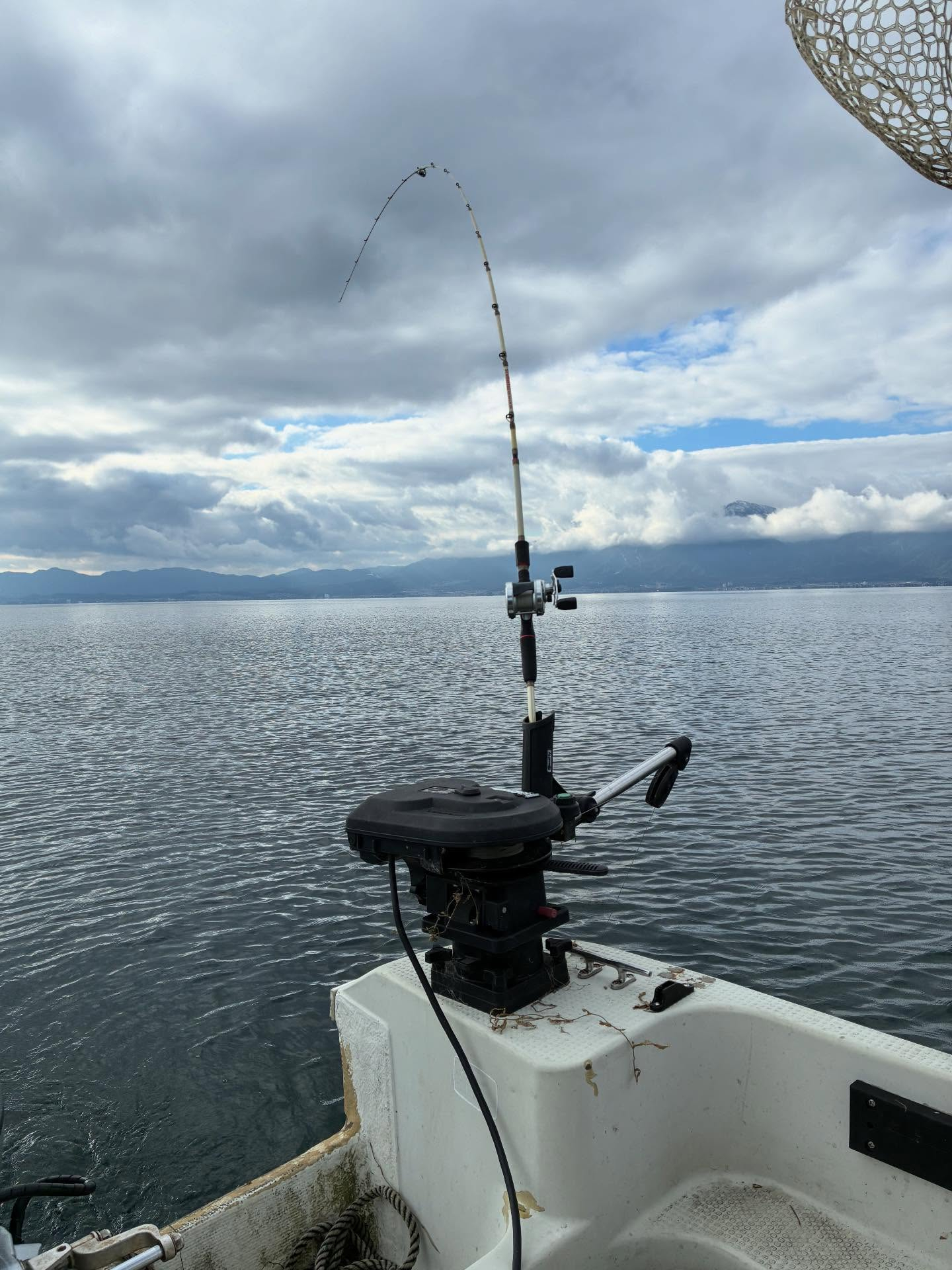 今日のビワマス