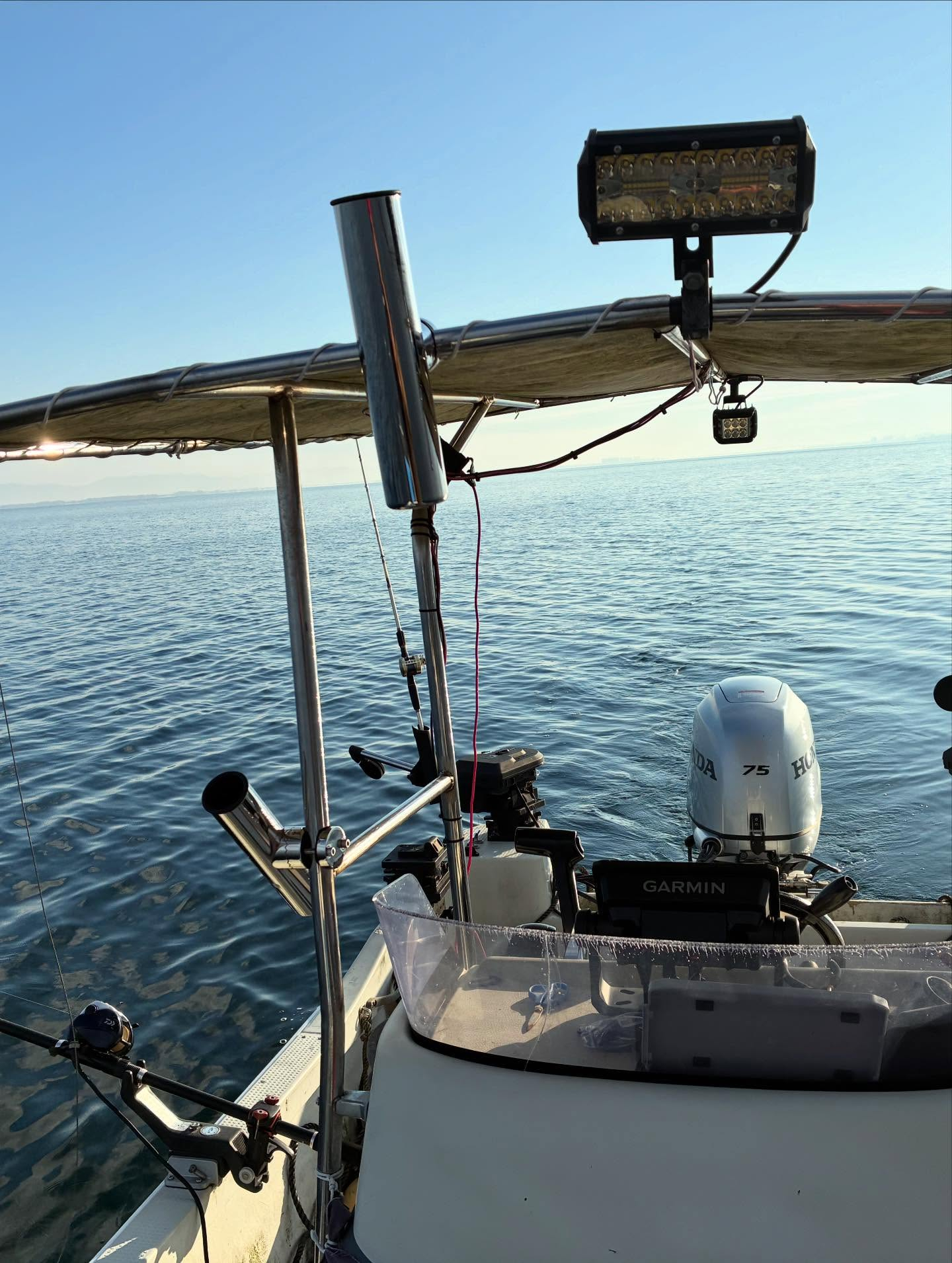 今日のビワマス