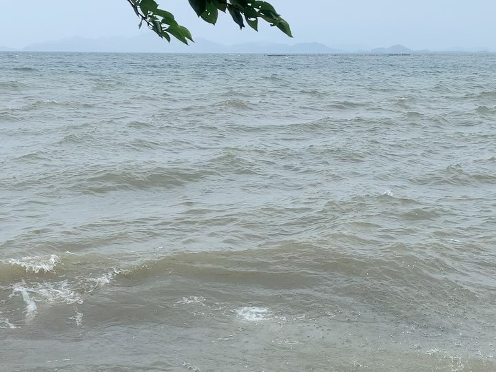 今日の琵琶湖